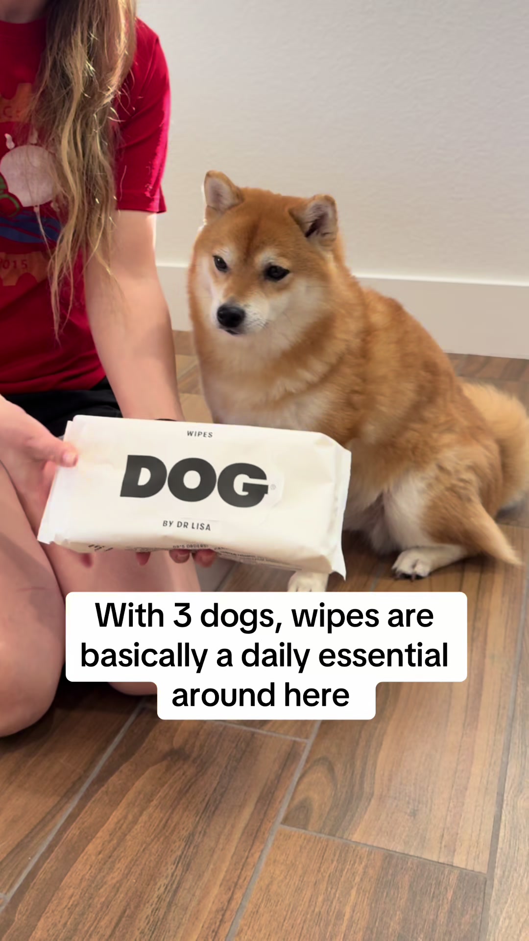 @Flock of Shibas 🐕🐕🐕
