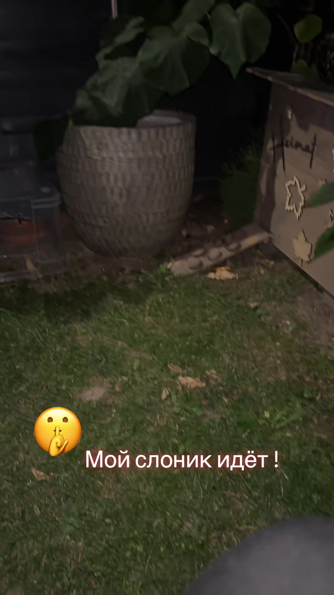 @olga