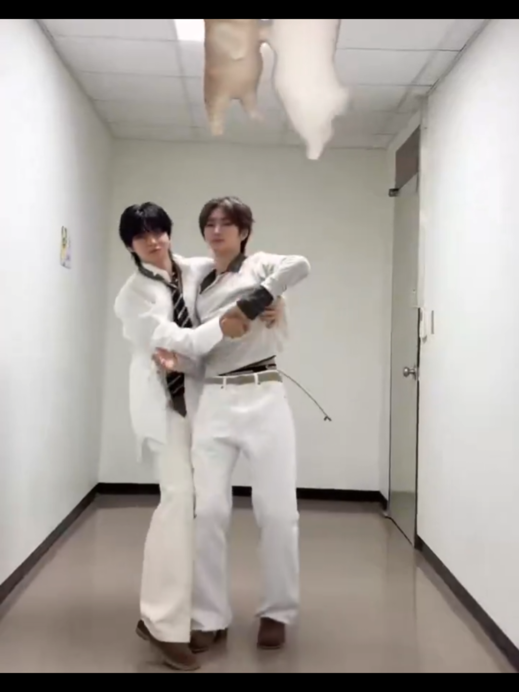 @LeoXin is love