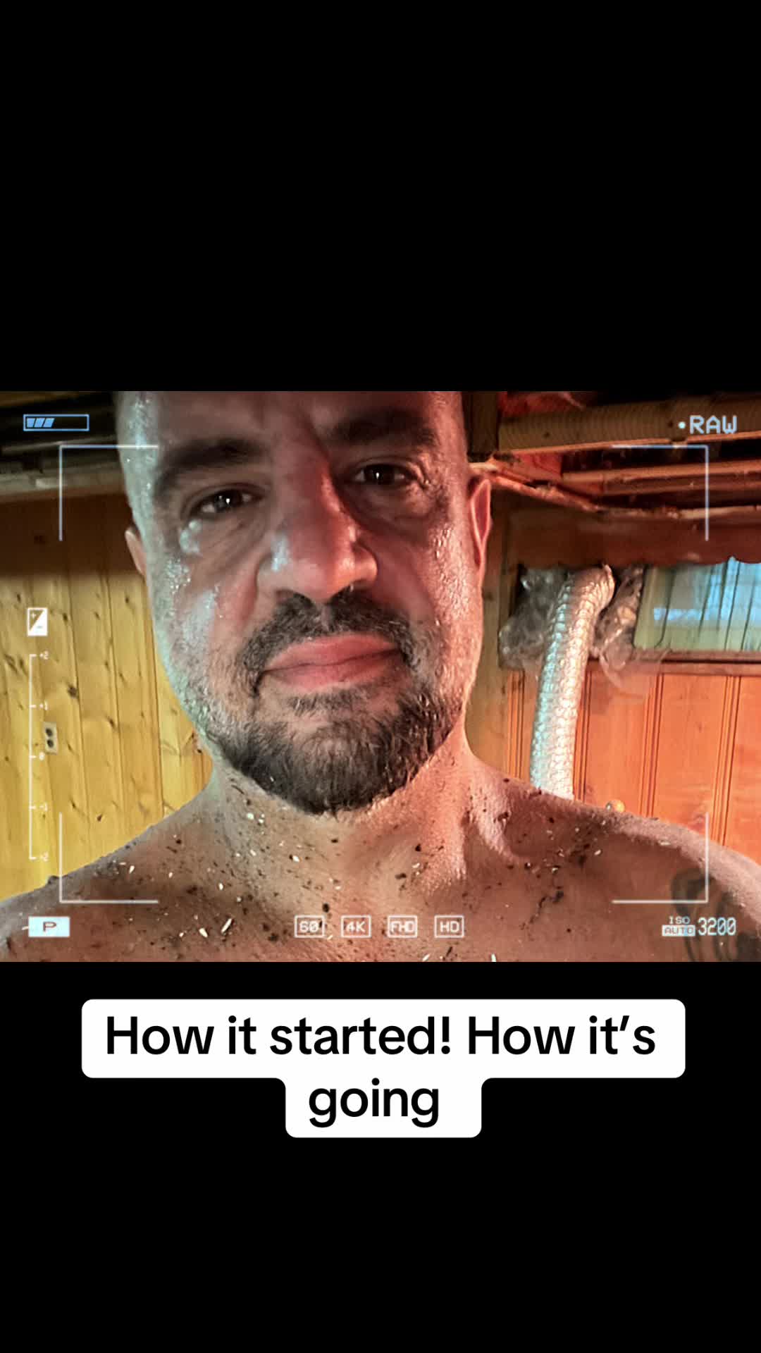 @Carnivores