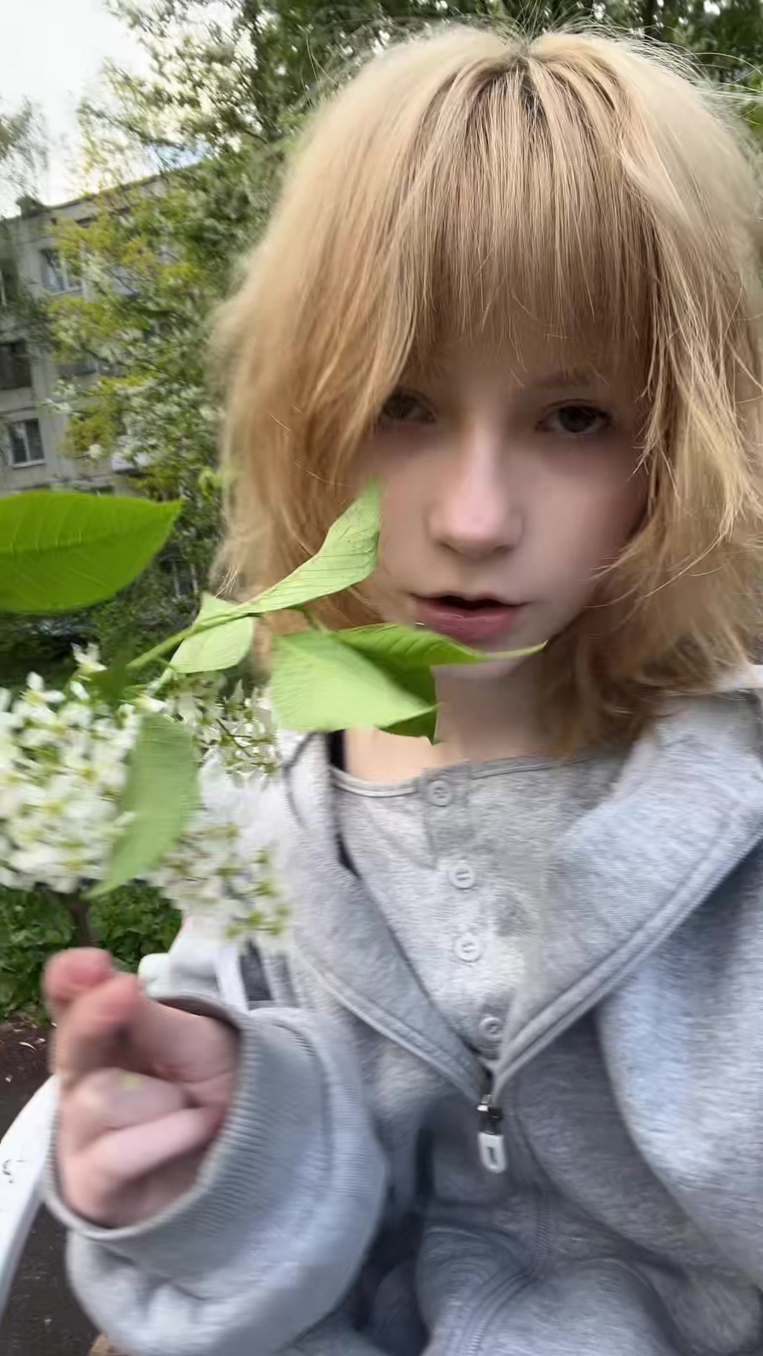 @тгк:Дарс