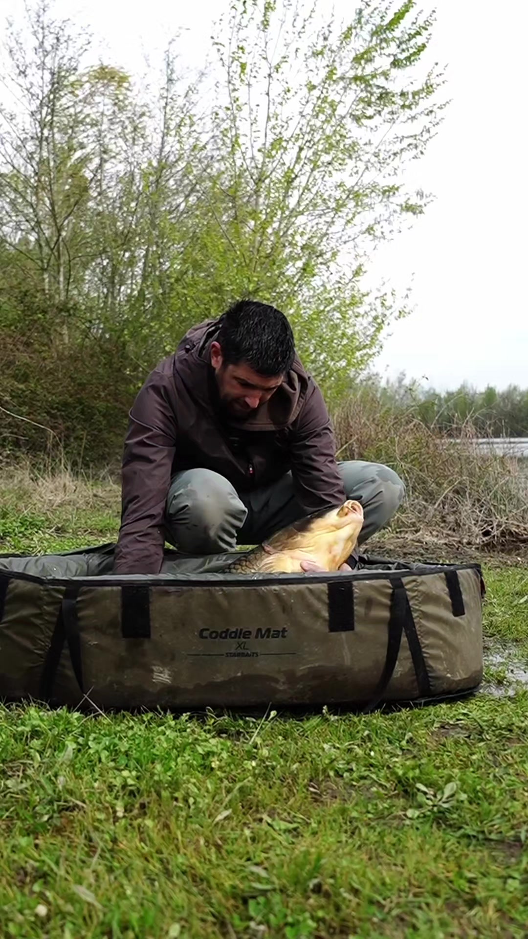 @Cedric_Ducere_starbaits