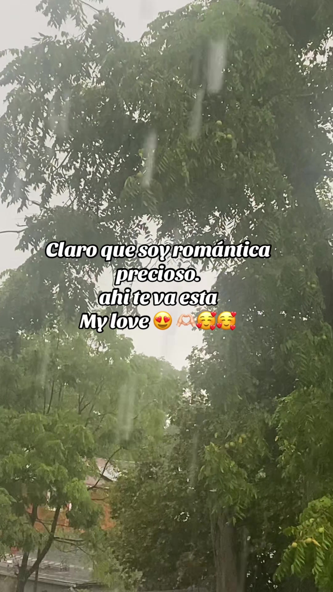 @๐Bonita_Girasol91