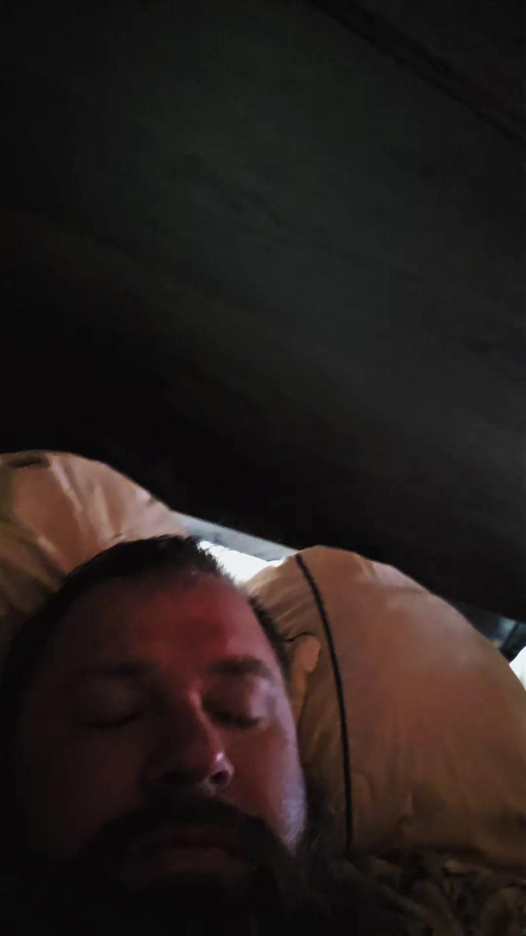 @bostonsmalls