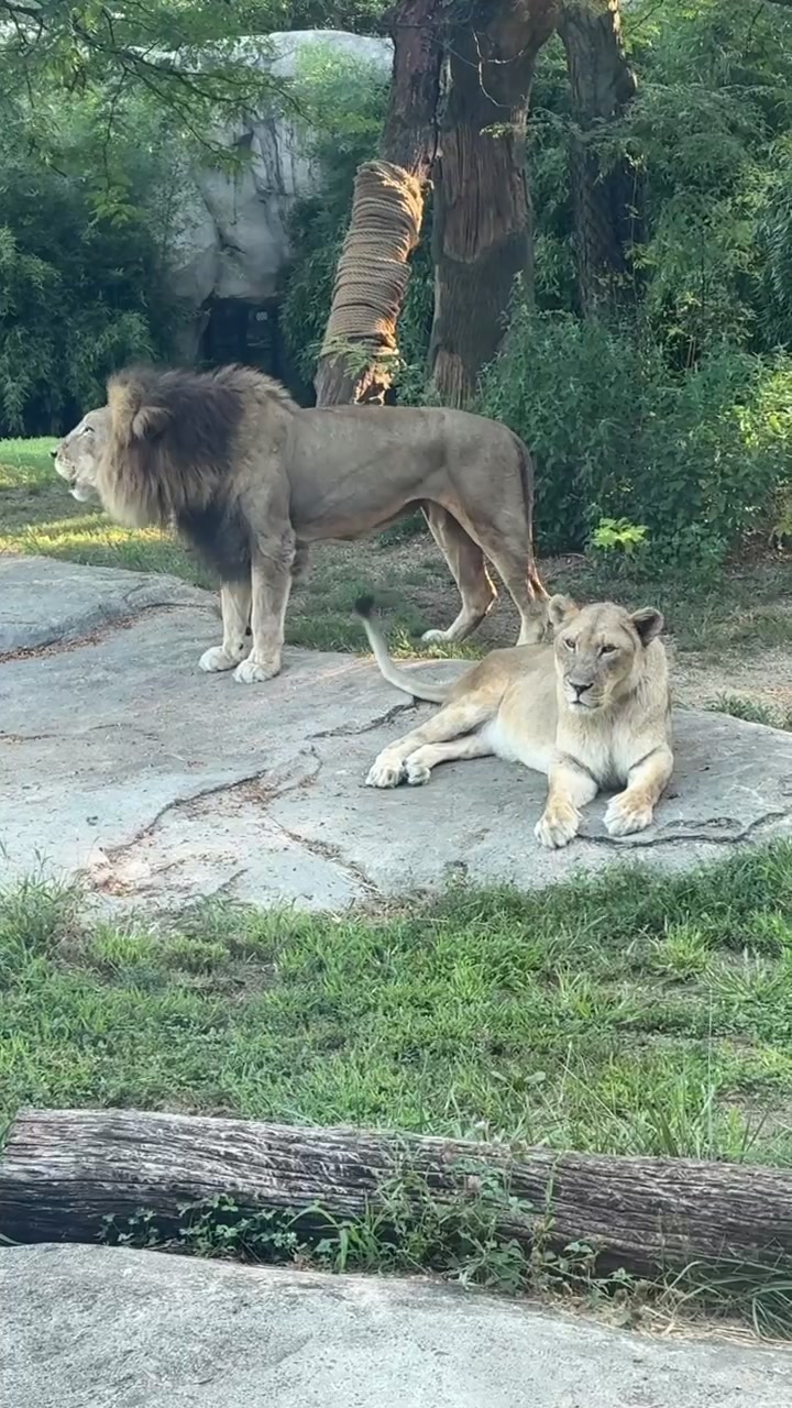@Cincinnati Zoo