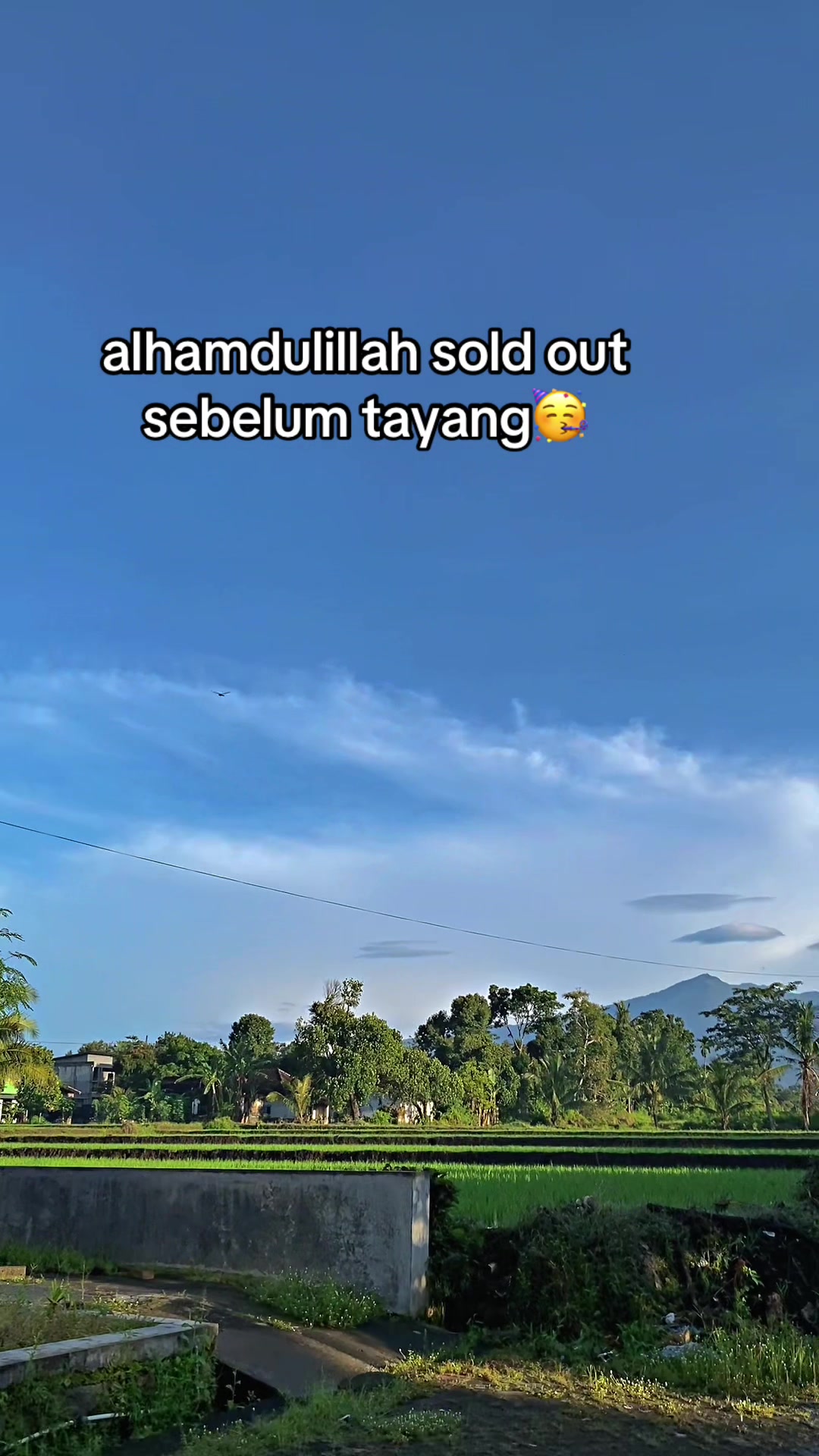 @ebid thole