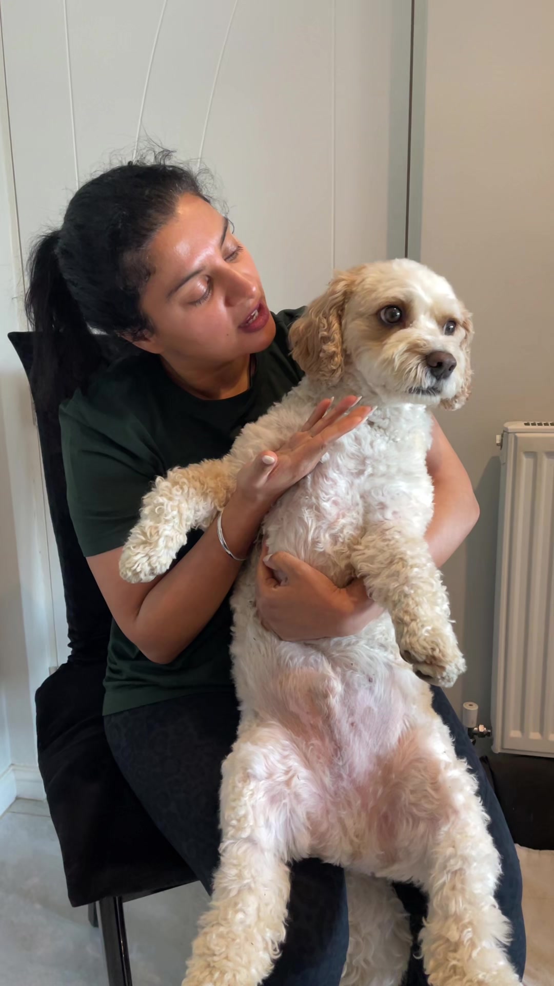 @My Cavachon