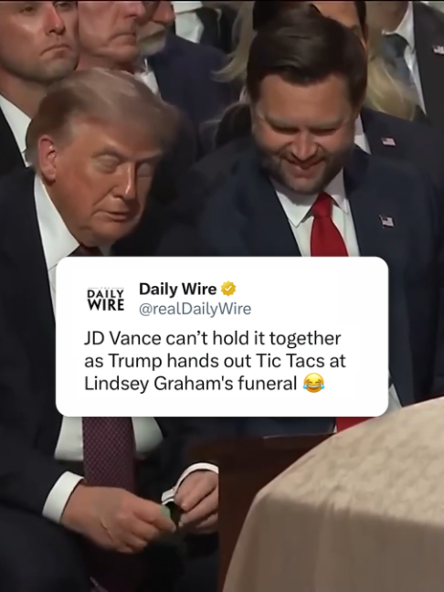 @Daily Wire
