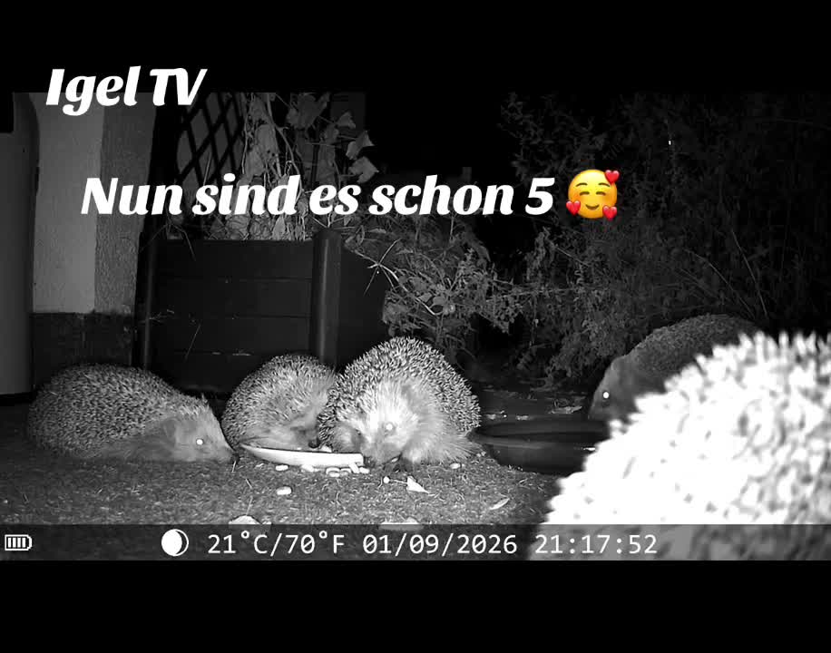 @Berit B. 🫣🙋♀️🫣