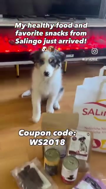 @SALiNGO