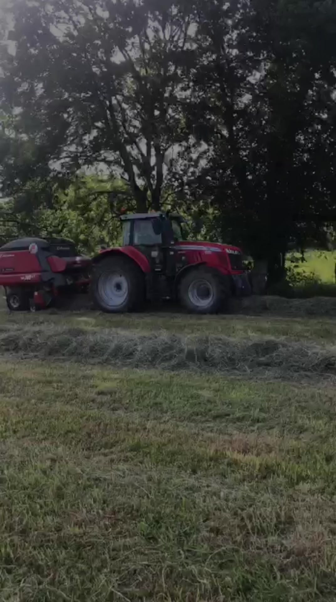 @Nathan_ch🐕🐄🚜