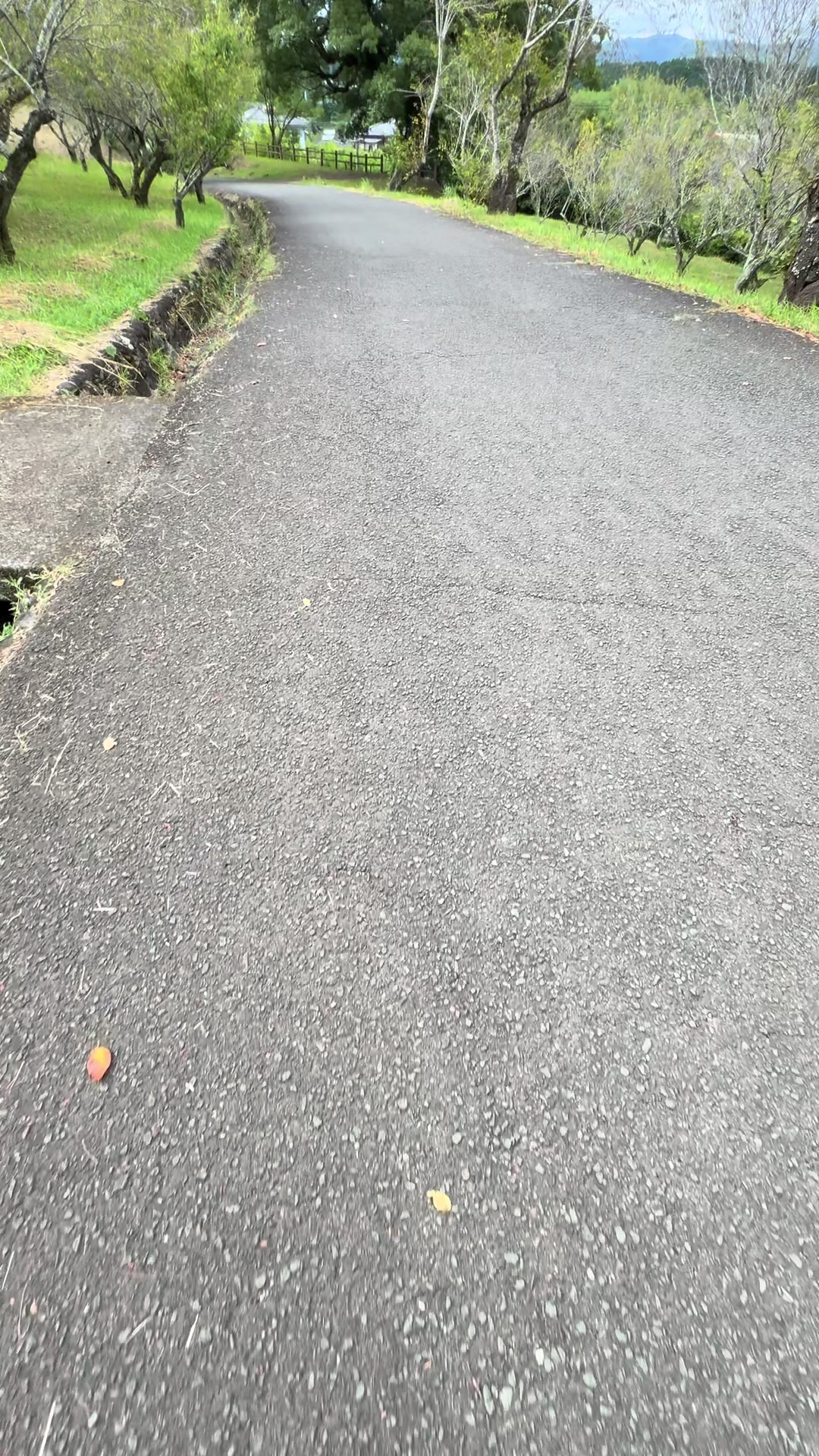 @この垢もう消します