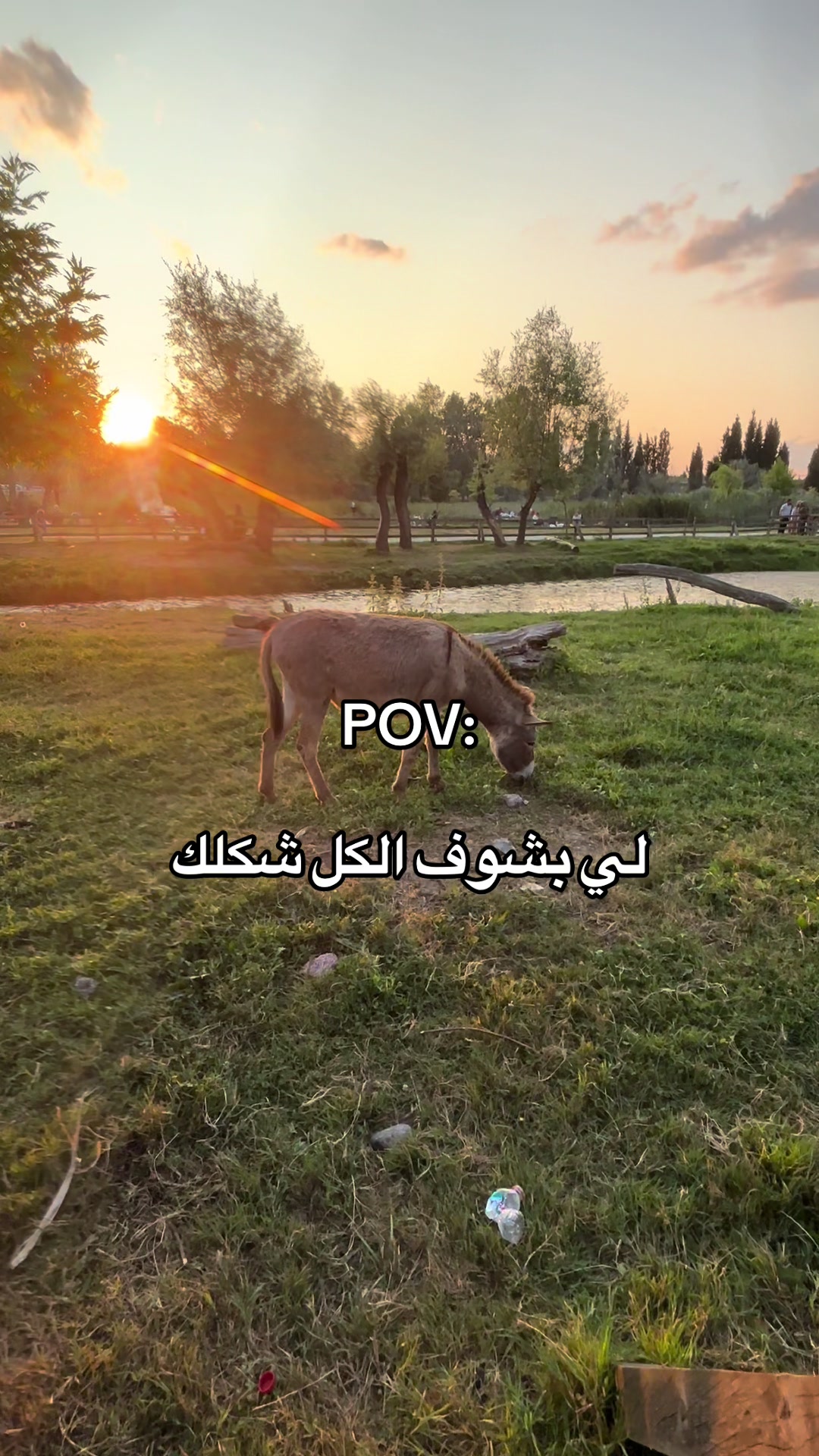 @إِسِـرّاءْ||𝑨𝑺𝑹𝑨𝑨