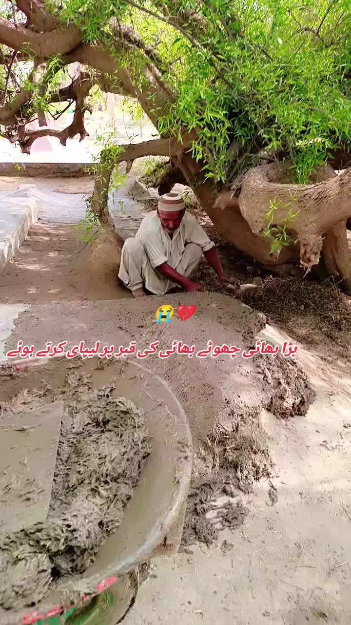 @Kashi Vlogs