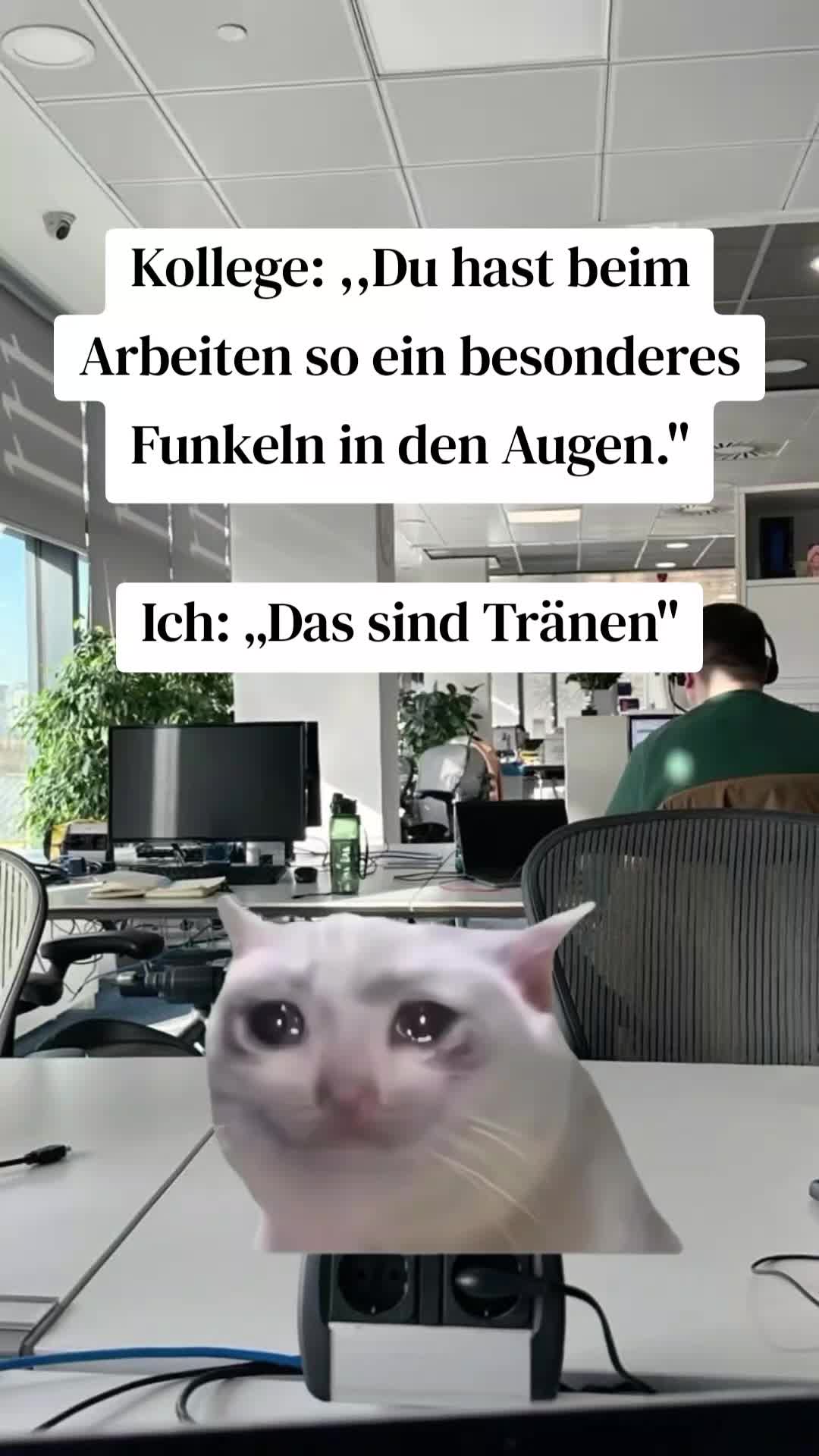 @Meme_Zentrale_