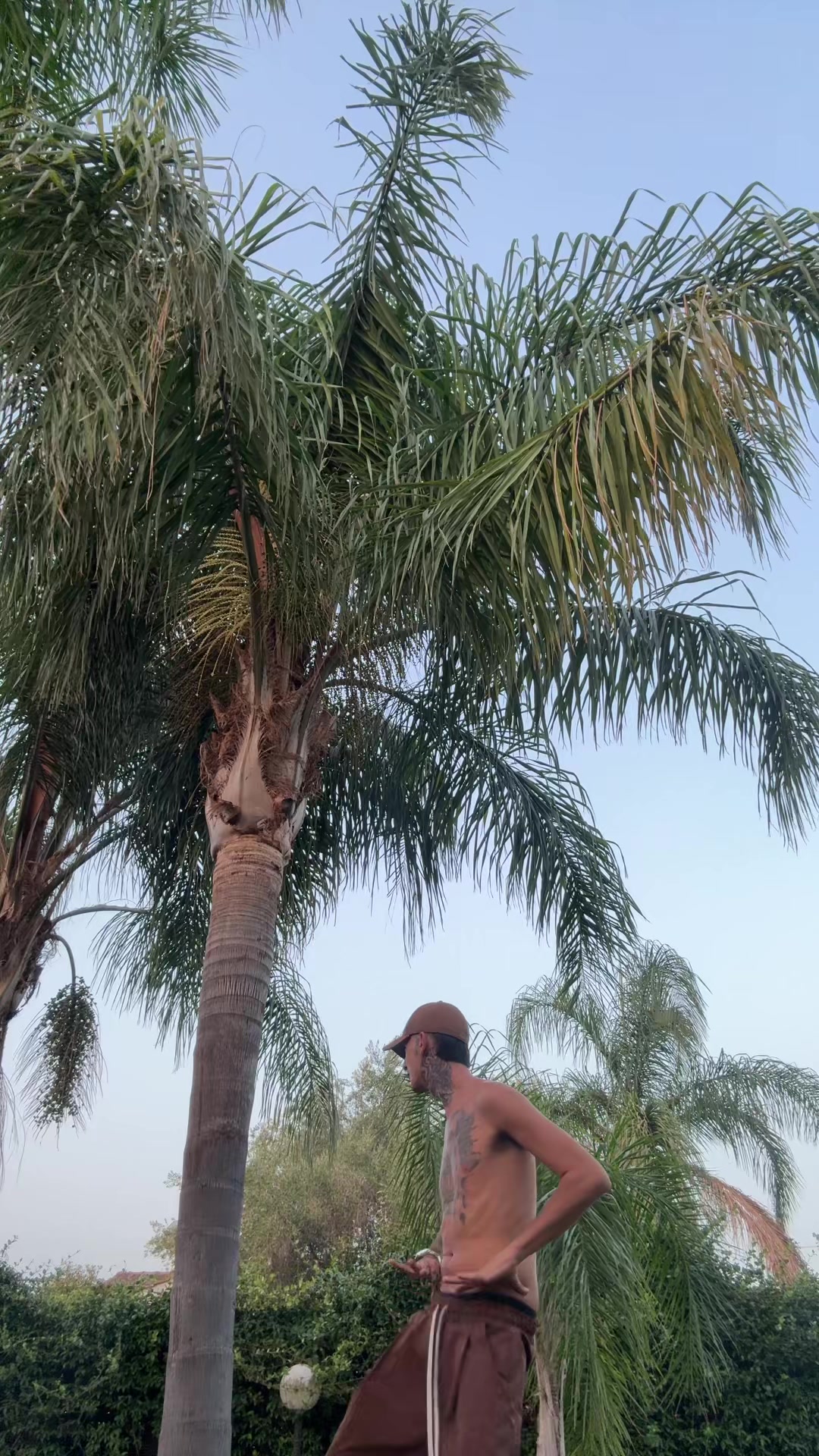 @spadinoofficial