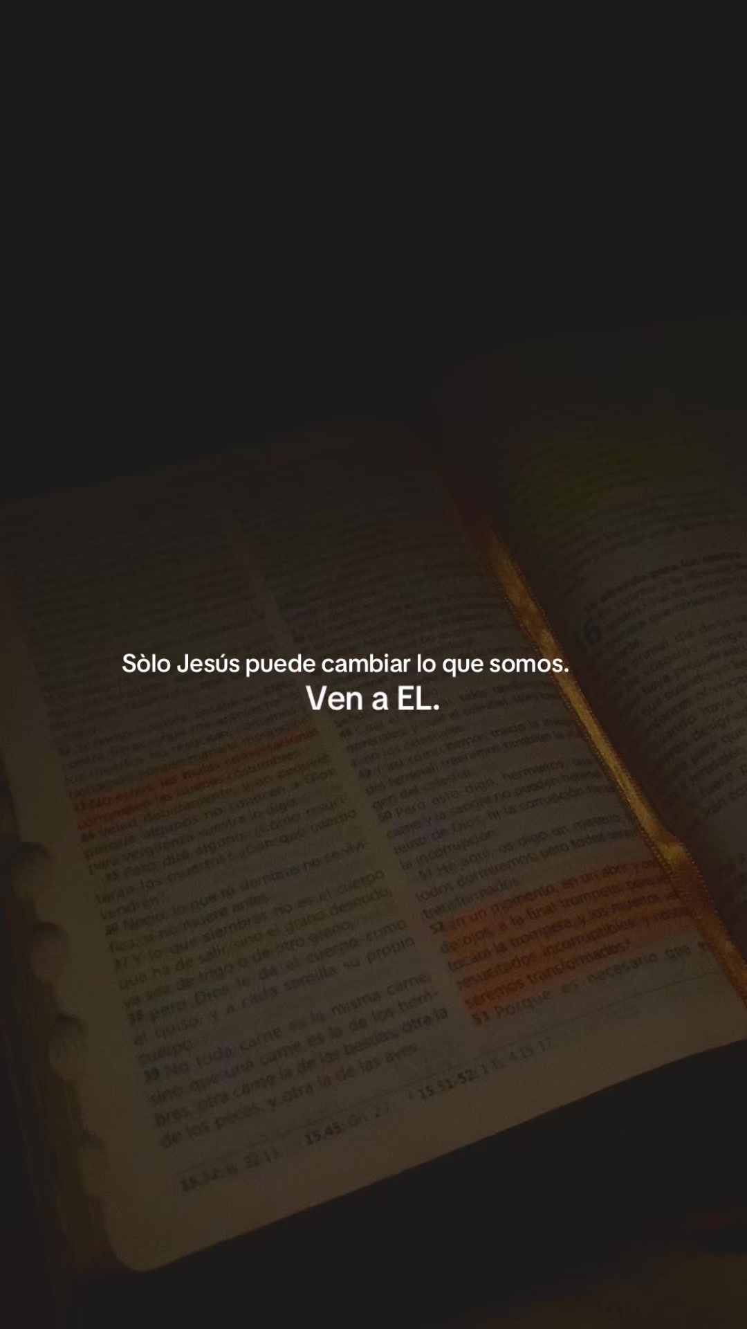 @Samii