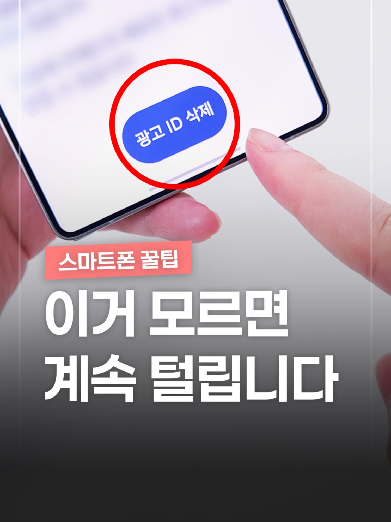 @짤컷