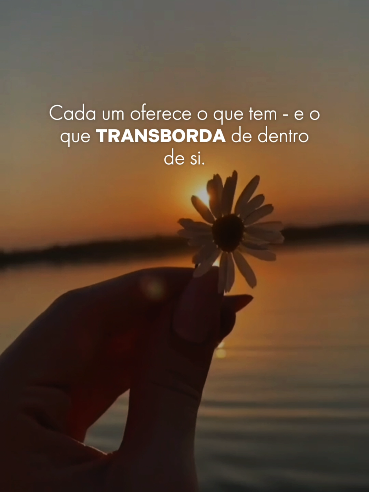 @Paz em Foco
