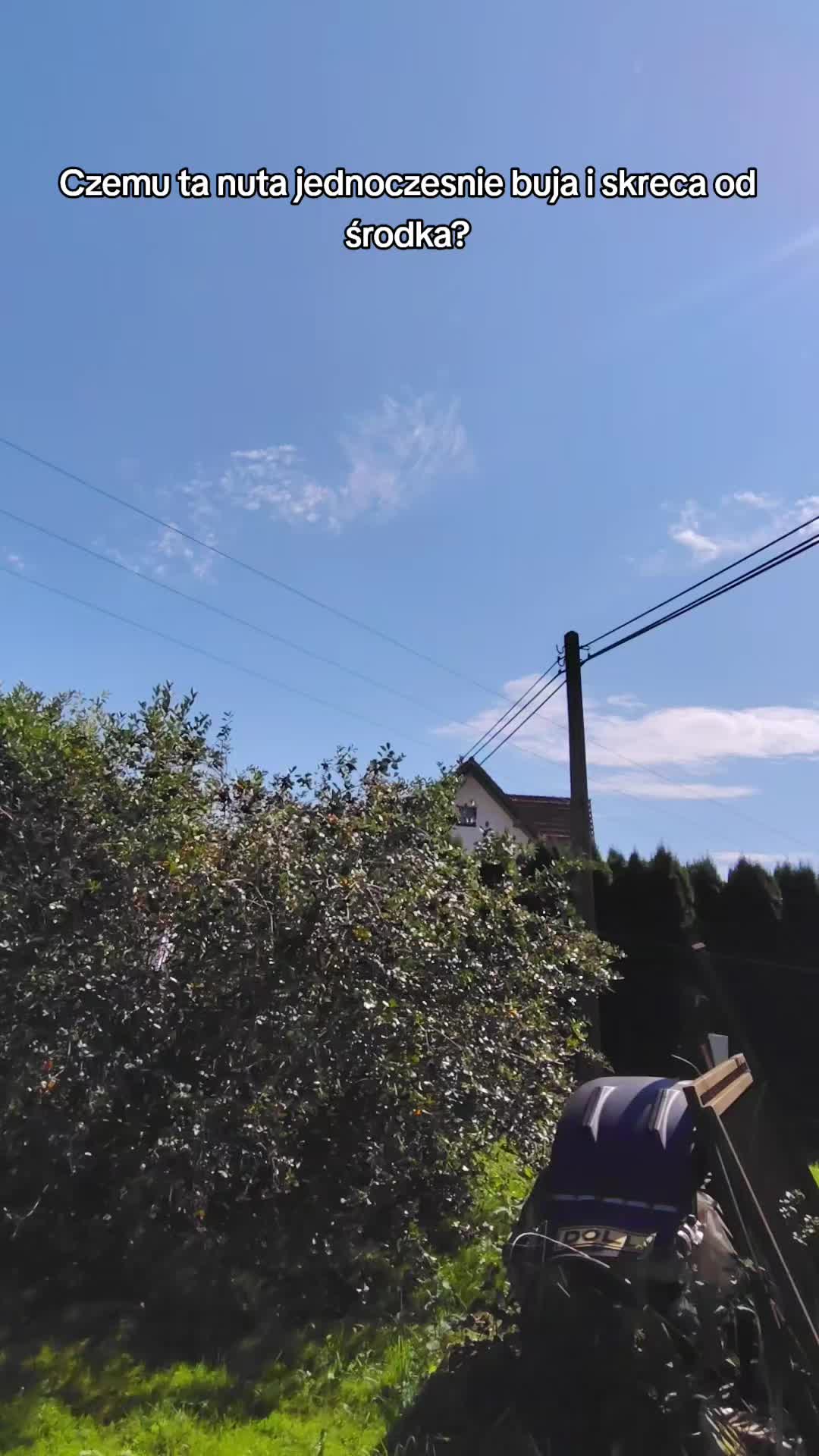 @ɢʀᴜʙʏ ɢᴀʀᴀɢᴇ🦅🛵