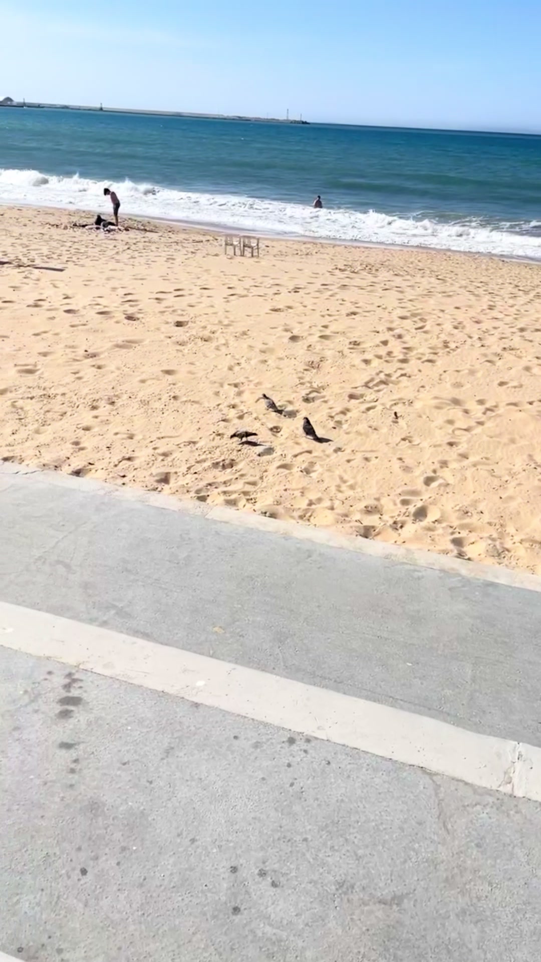 @دنيا وإحساس ♥️