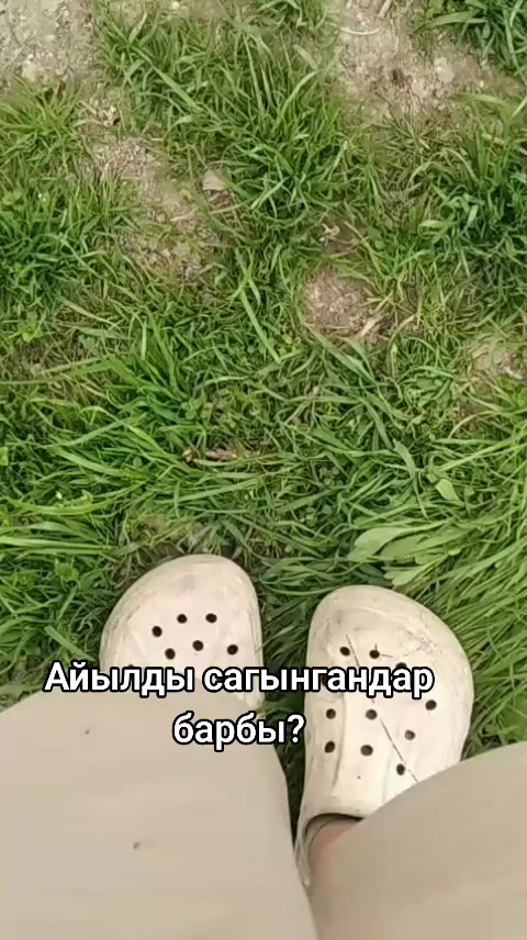 @tatysh