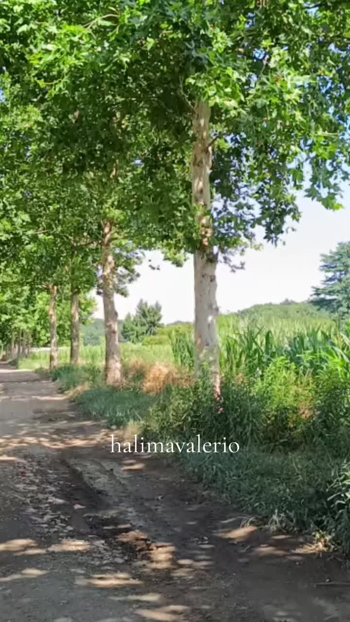 @halima_Valerio
