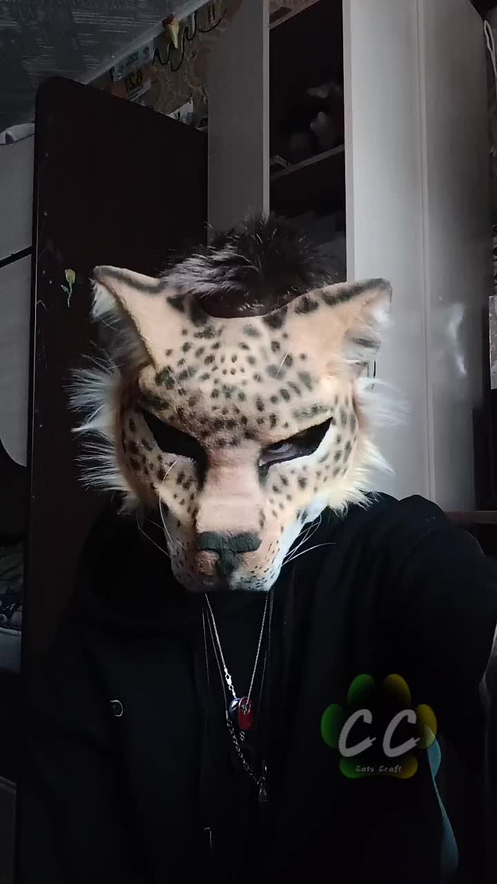 @CatsCraft🐾