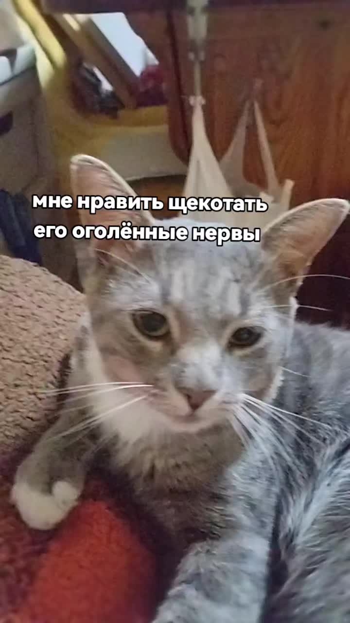 @COБ@КUH🚬🧂РЯВ#
