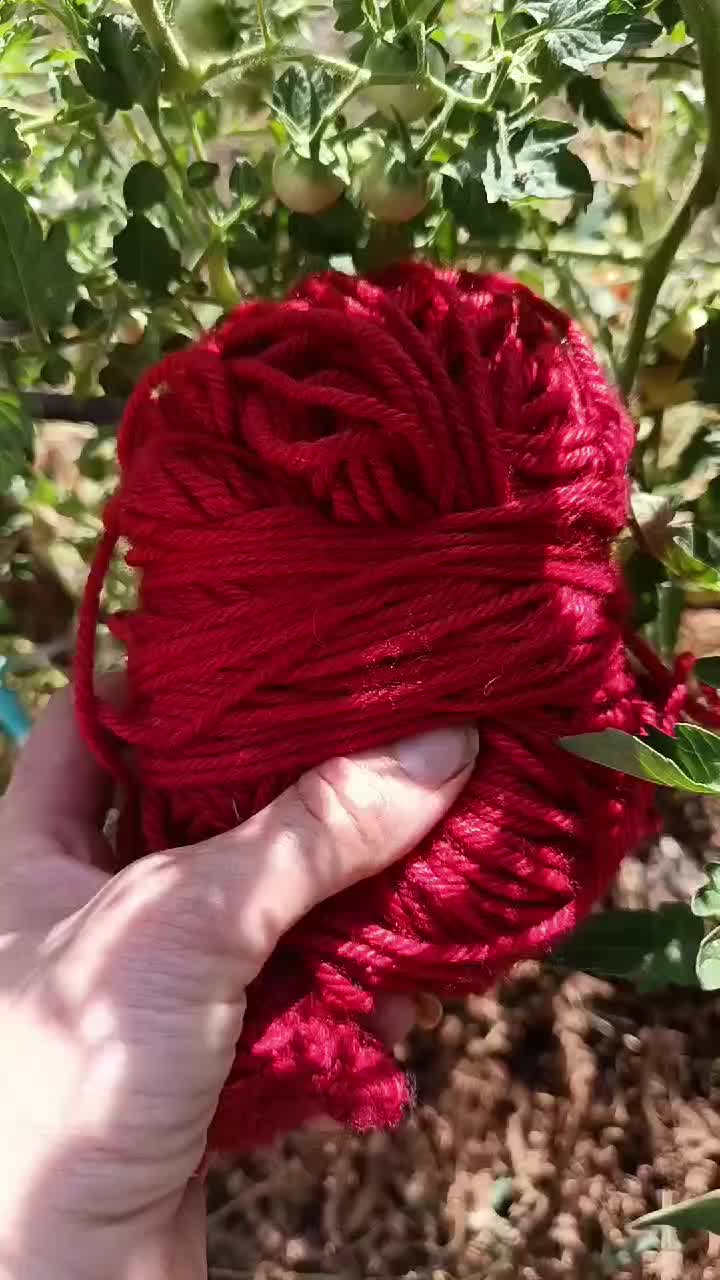 @La salamandingue 🎒👜👝🏞️