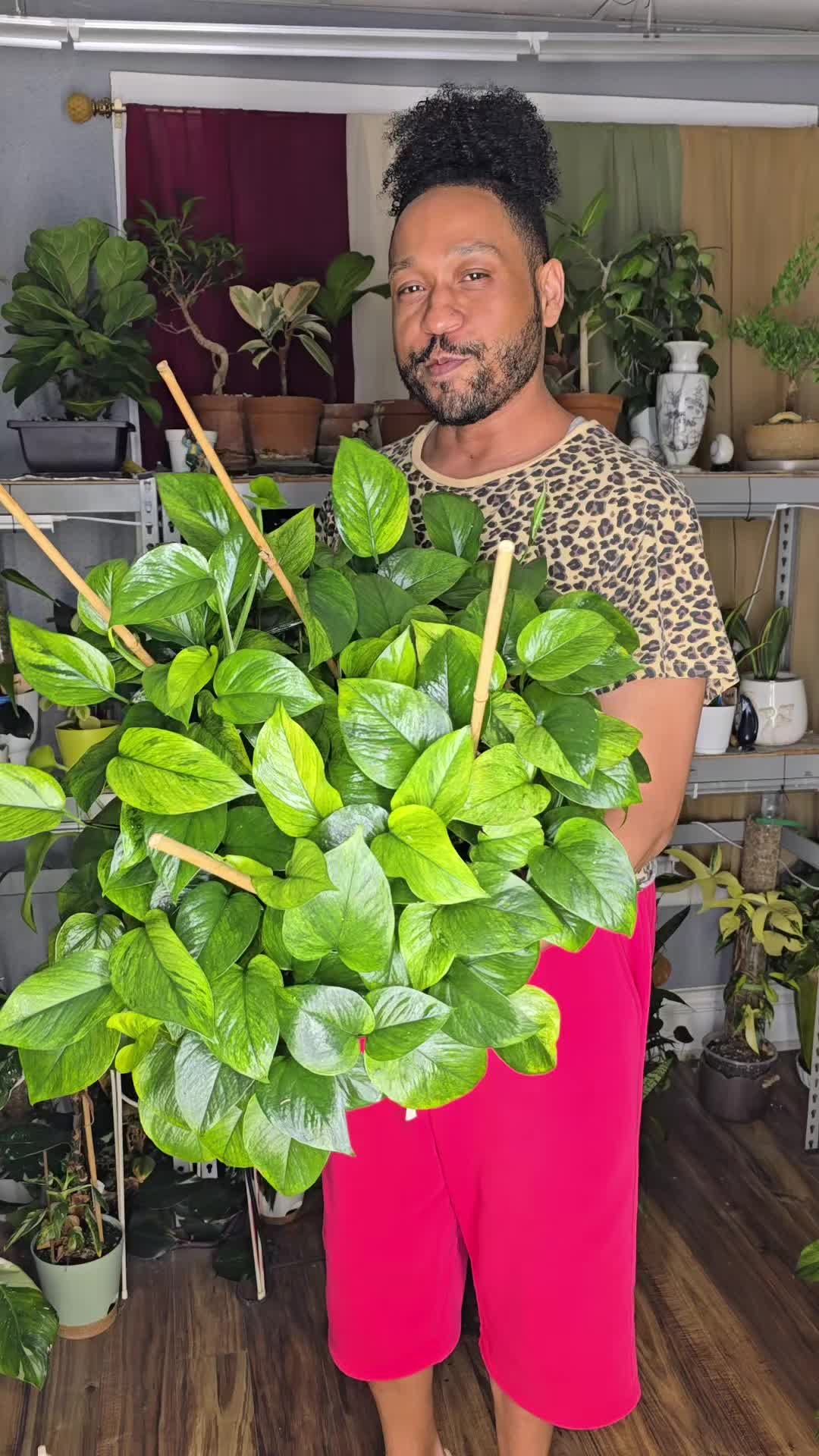 @JT - BigEGOPlants