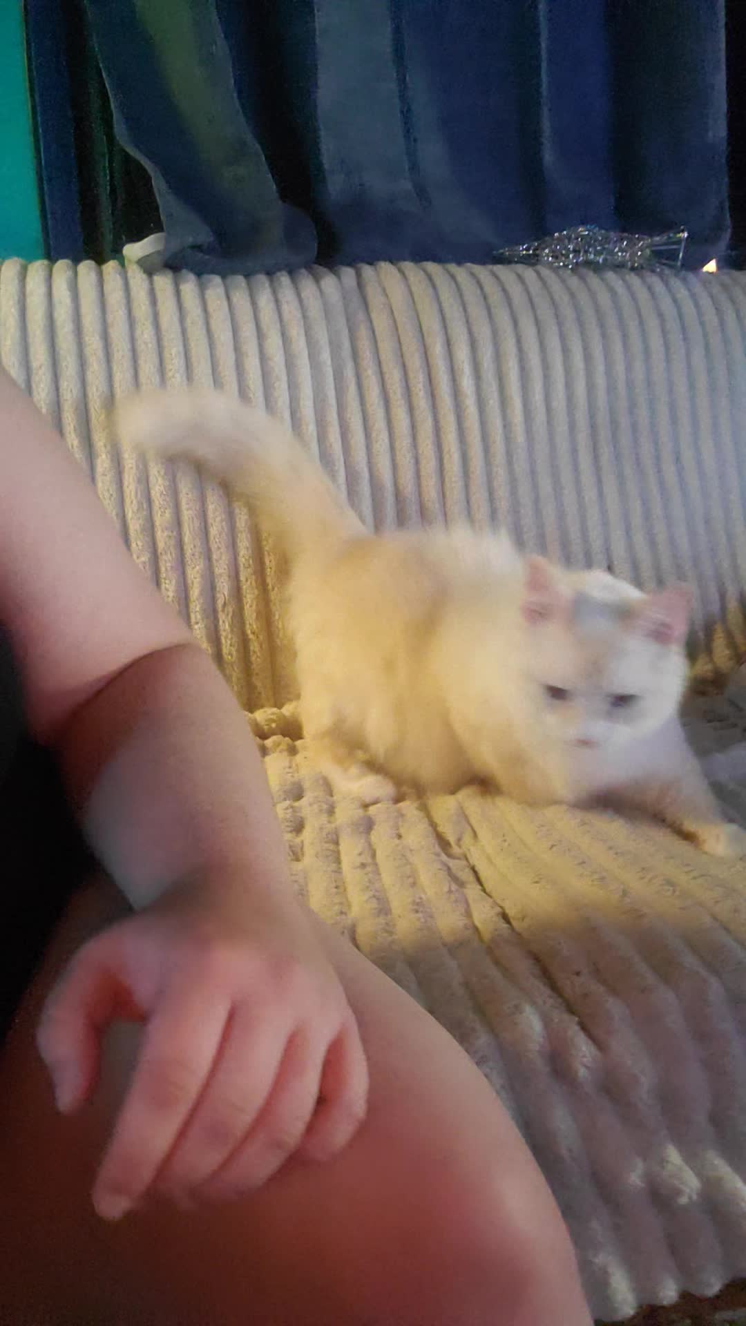 @pikababy⁷