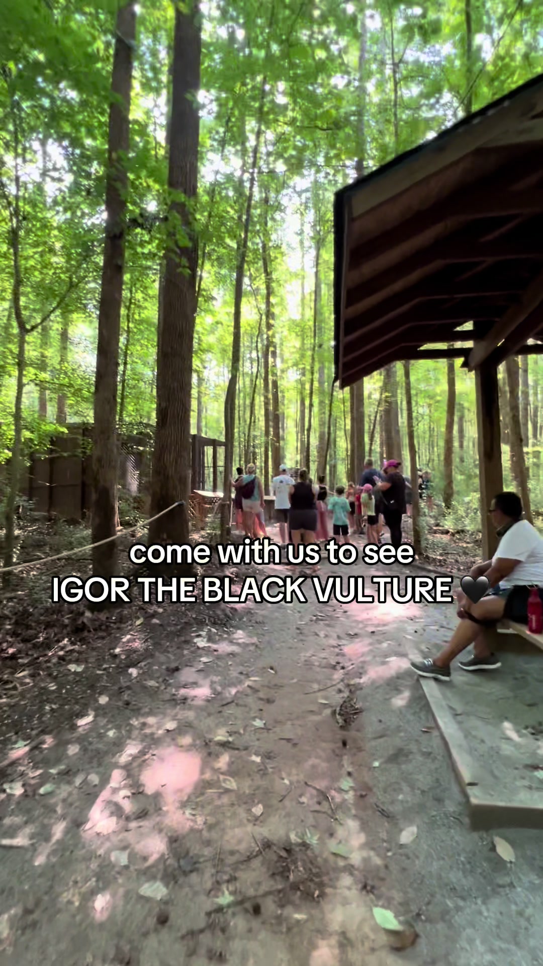 @Carolina Raptor Center