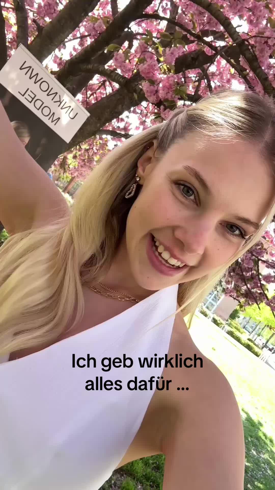 @tessalux_official