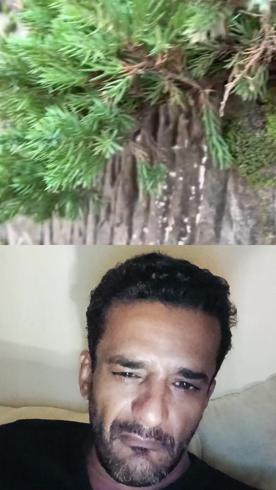 @محمد