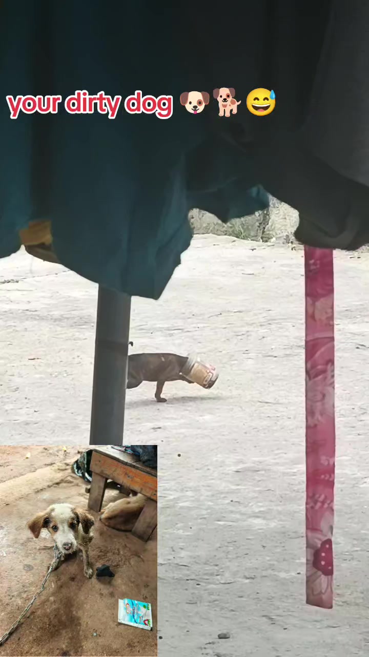@Bae Ñetta 🥀🍁🤍🎭