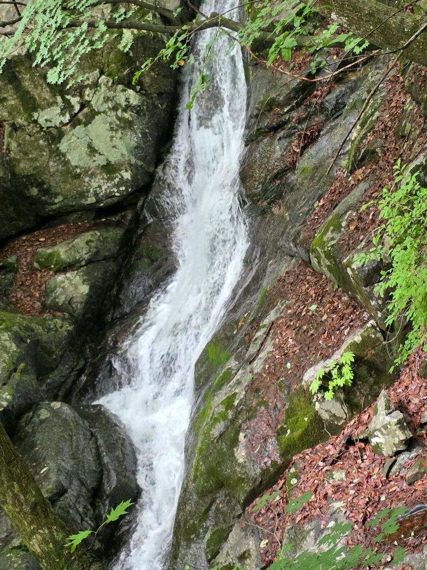 @이소희(오산)