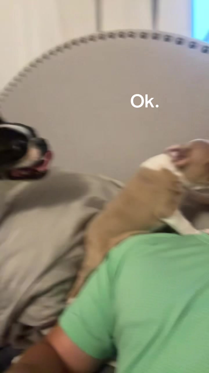 @dex
