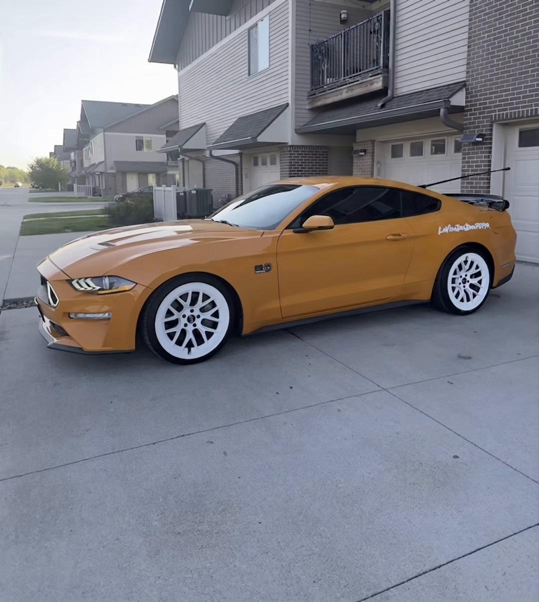 @LaVidaDeBori787PR🇵🇷🐺