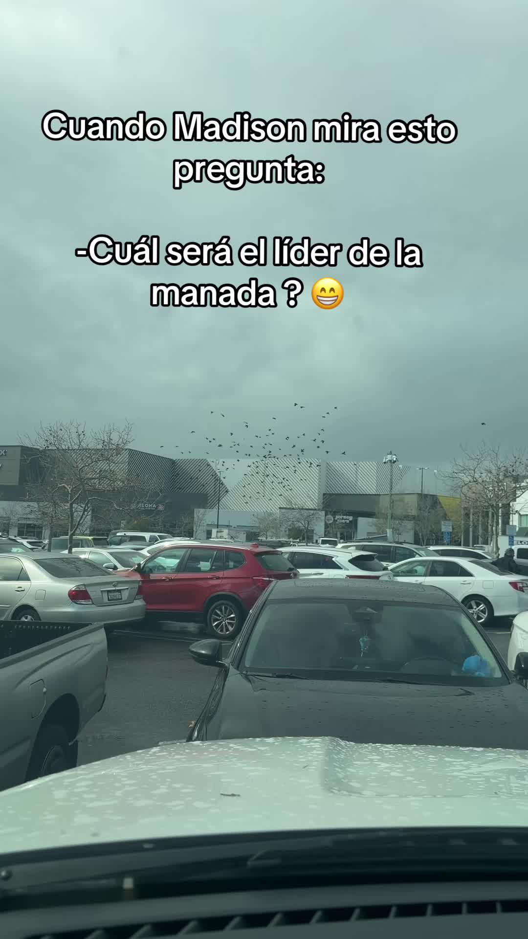 @Yady Pérez94