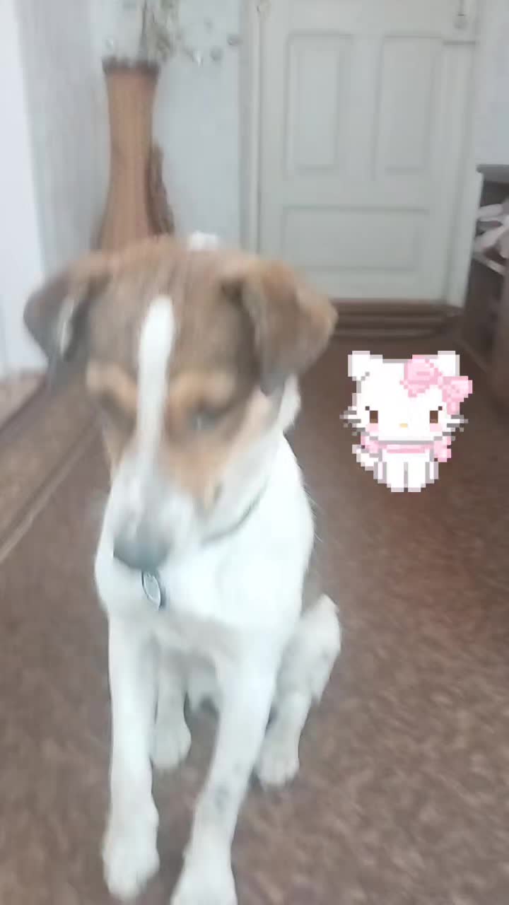 @𝘑𝘦𝘳𝘳𝘺🥏𝘢𝘪𝘳