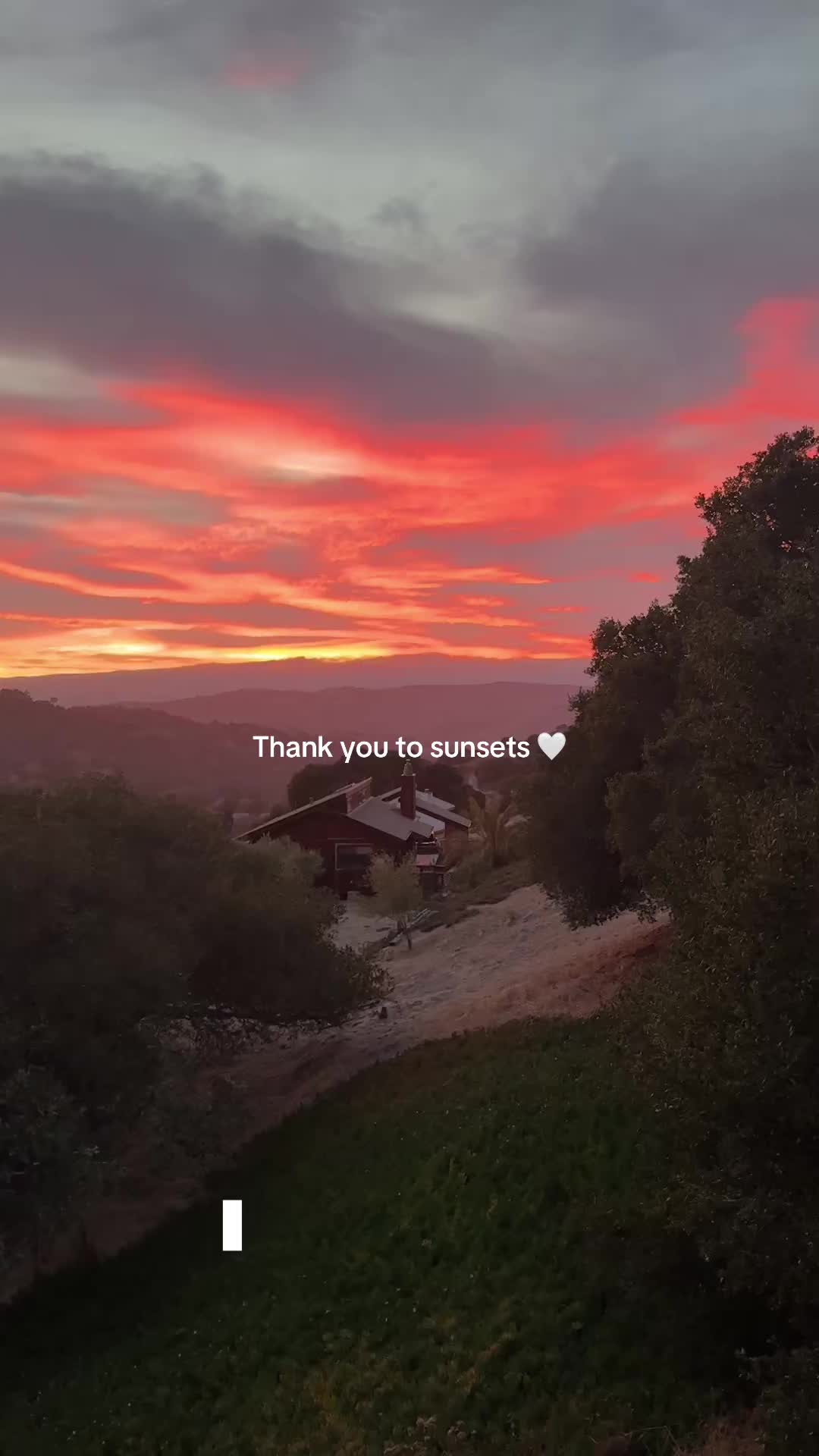@Tara Big Sis Does TikTok