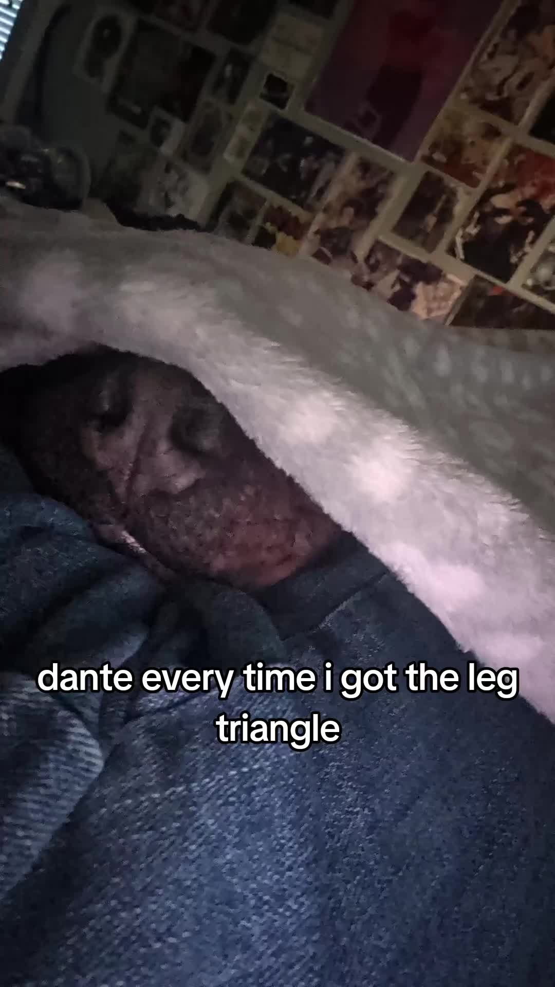 @Alexswaggzillaa