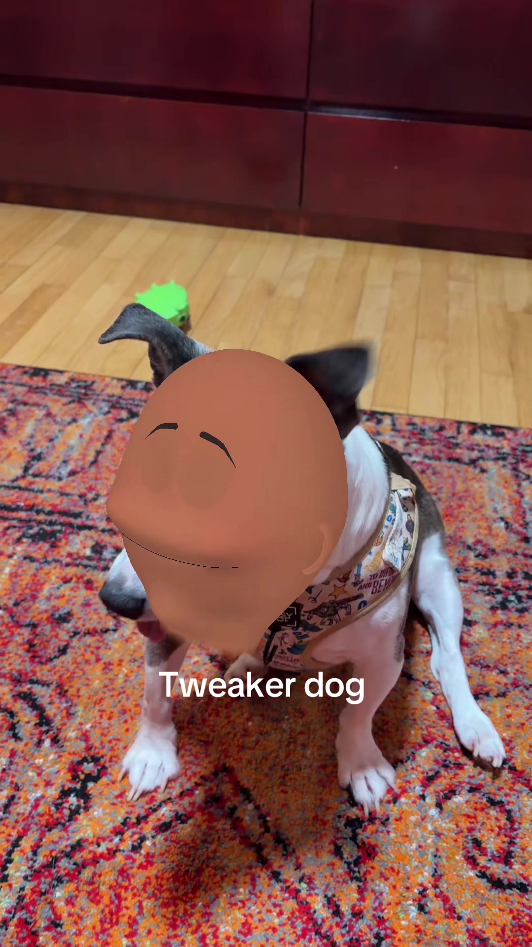 @bustercookie67
