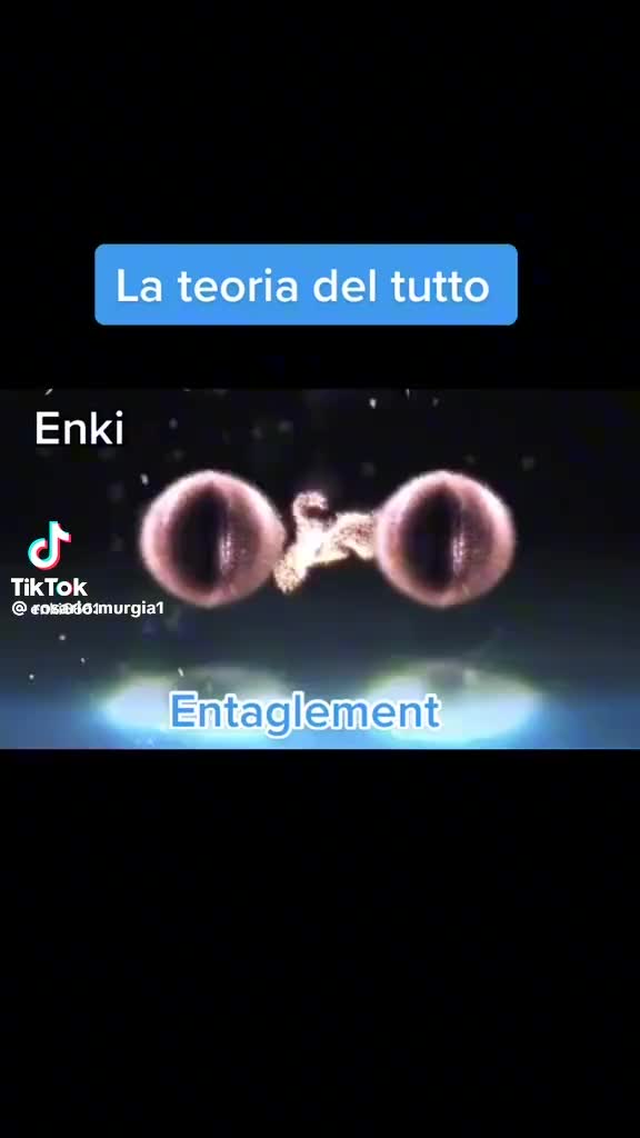 @vinci236