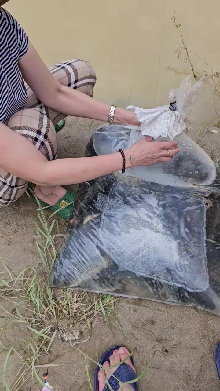 @Trại Cá Giống Quang Lâm