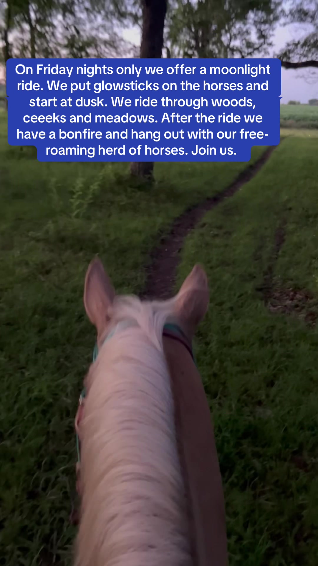 @Millbrook Trail Rides