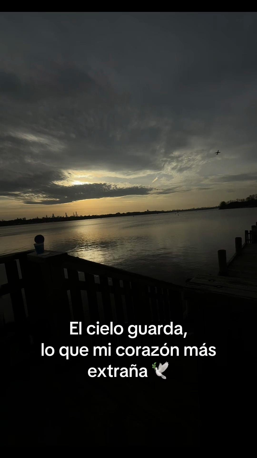 @_ ᥫ᭡