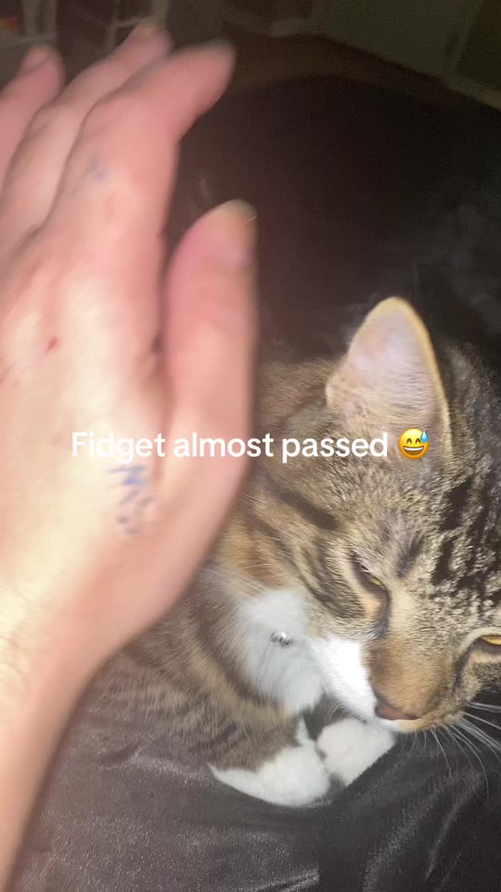 @Dee💙🤍328D