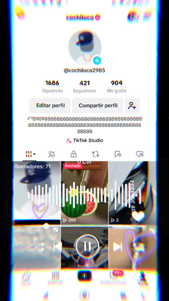 @cochiloco